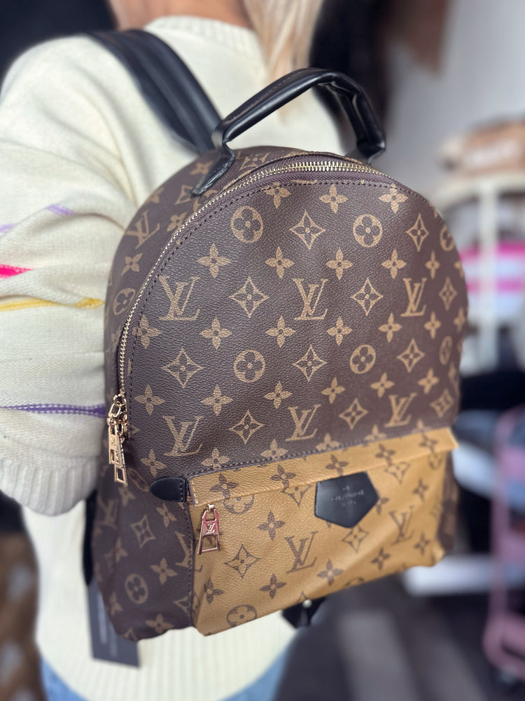 Louis Vuitton Back Pack