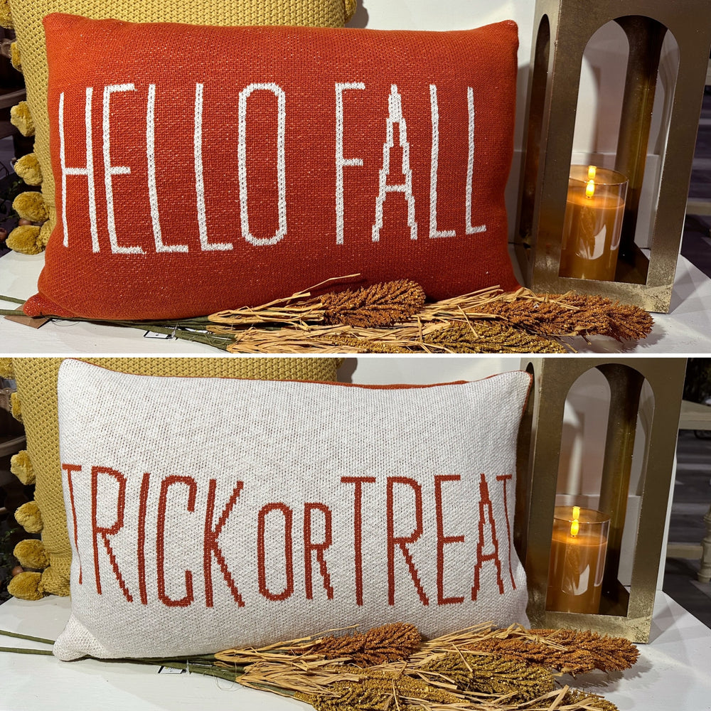Double Sided (Hello Fall/ Trick or Treat) Pillow