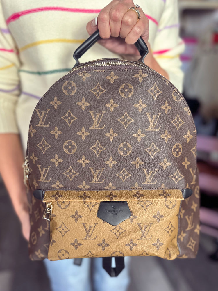 Louis Vuitton Back Pack