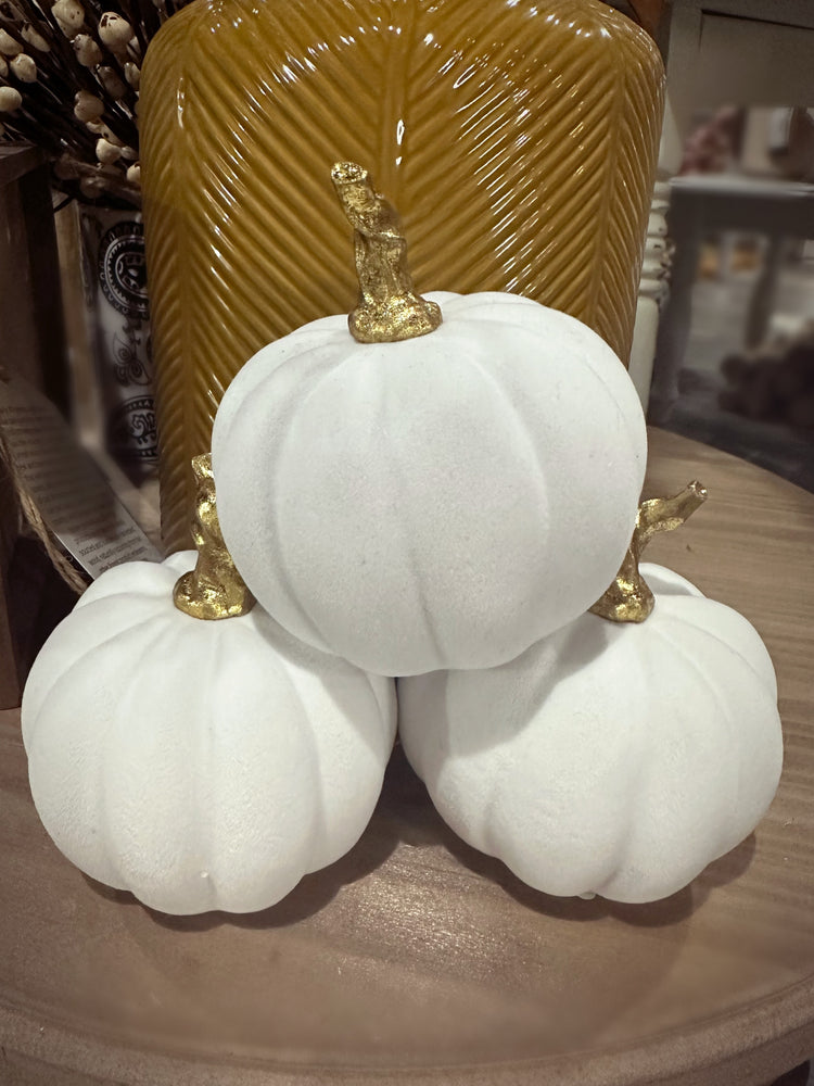 White Velvet Pumpkin