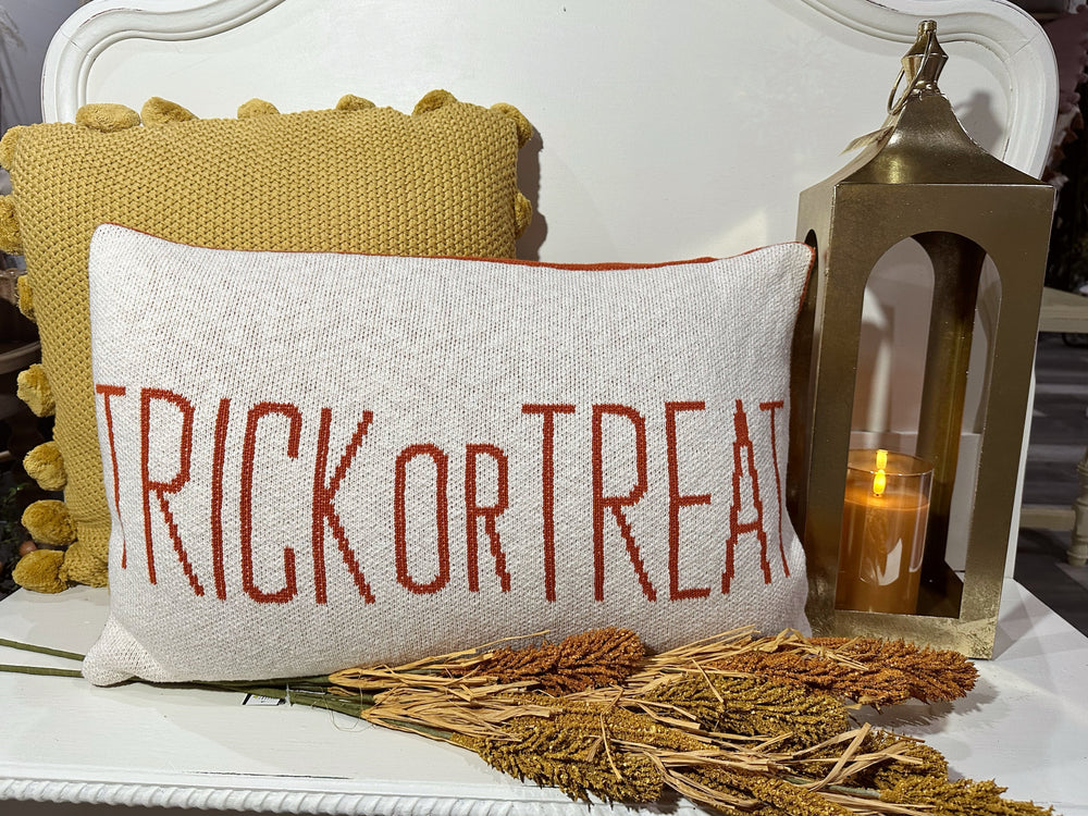 Double Sided (Hello Fall/ Trick or Treat) Pillow