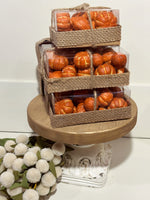 Assorted Mini Pumpkin Set