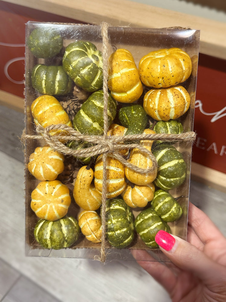 Assorted Green and Yellow Mini Pumpkins