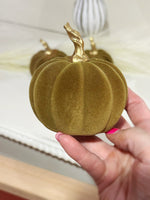 Green Velvet Pumpkin w/ Gold Stem