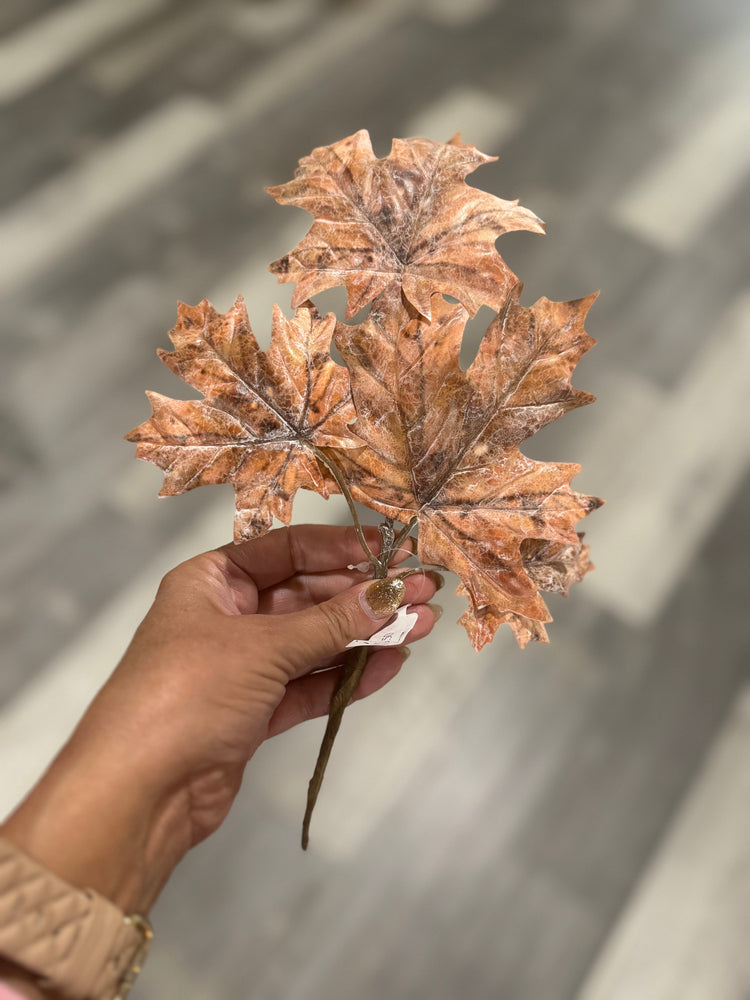 Dusted Brown Pink Maple Leaf