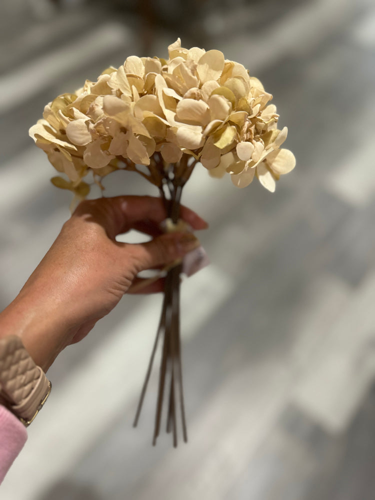 Hydrangea Beige Bundle Of 6