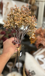 14.5 Inch Dried Wildflower Bundle