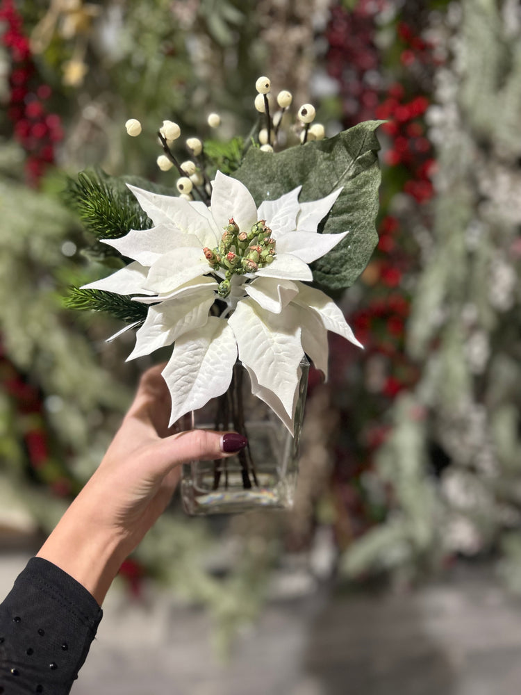 White Poinsettia and Pine Arrangement