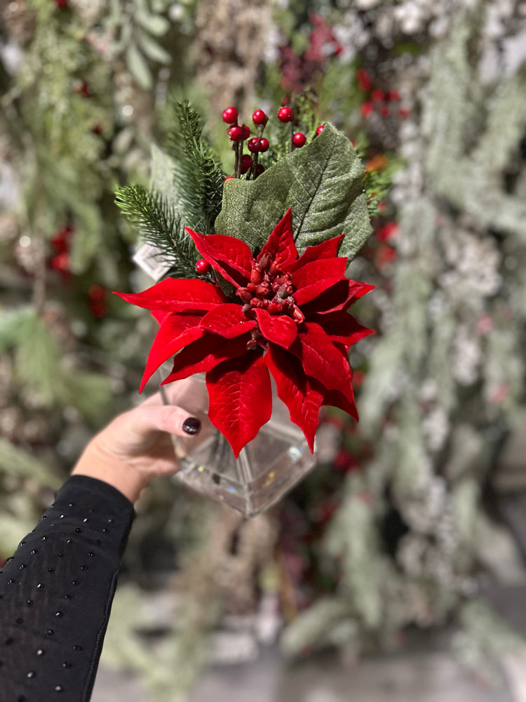 Red Poinsettia and Pine Arrangement