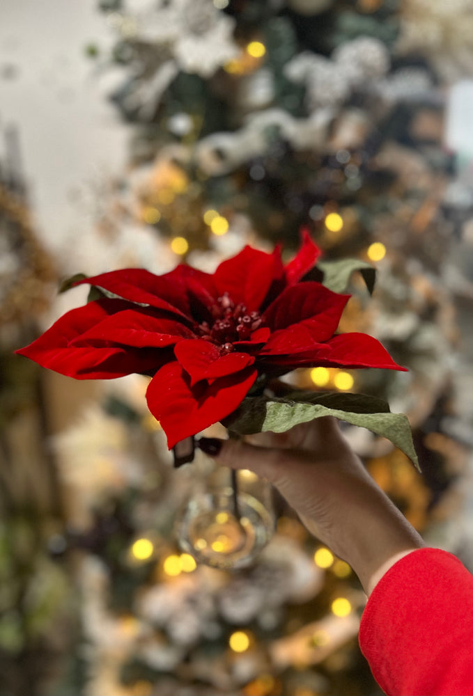 10” Red Poinsettia in Clear Vase