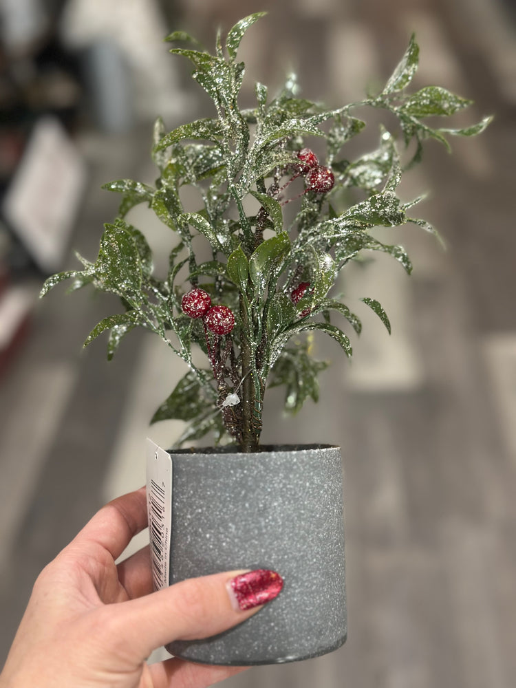 Silver Sparkle Green and Red Berry Tree Planter