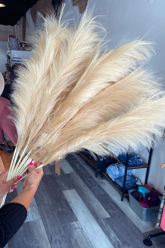 48” Pampas Grass
