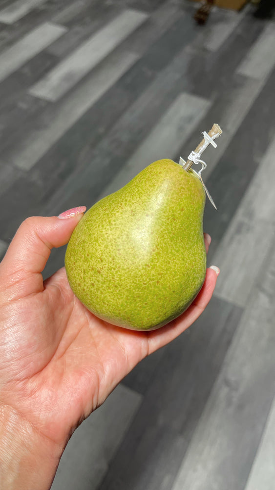 Crafted Green Market Pears