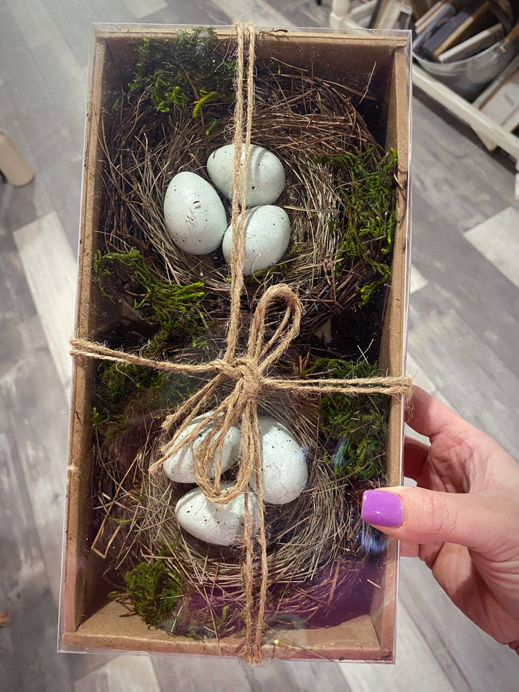 Set of Two Nested Robin Eggs