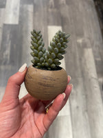 Small Potted Faux Succulent