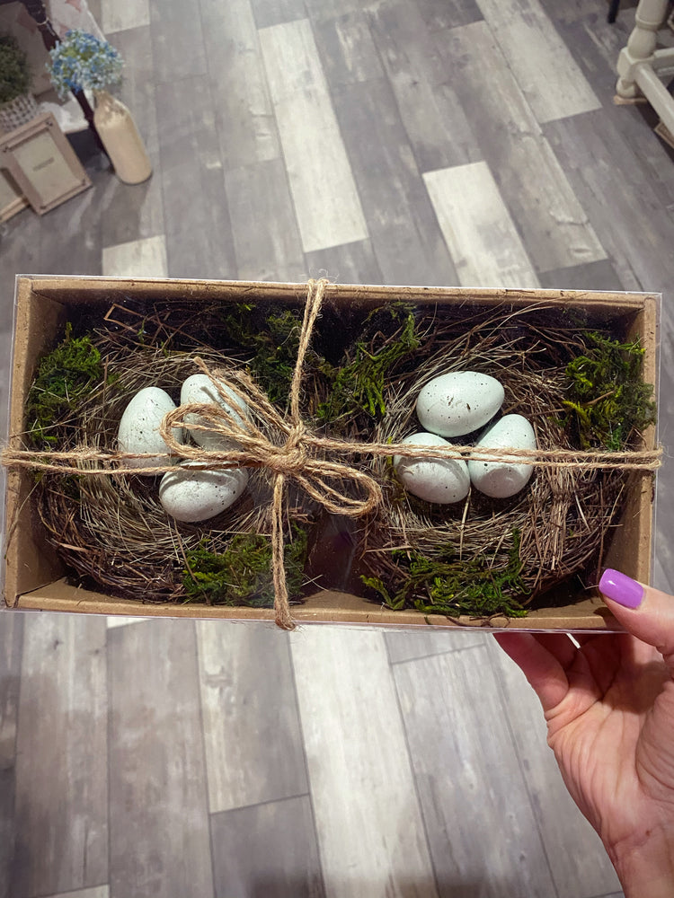 Set of Two Nested Robin Eggs