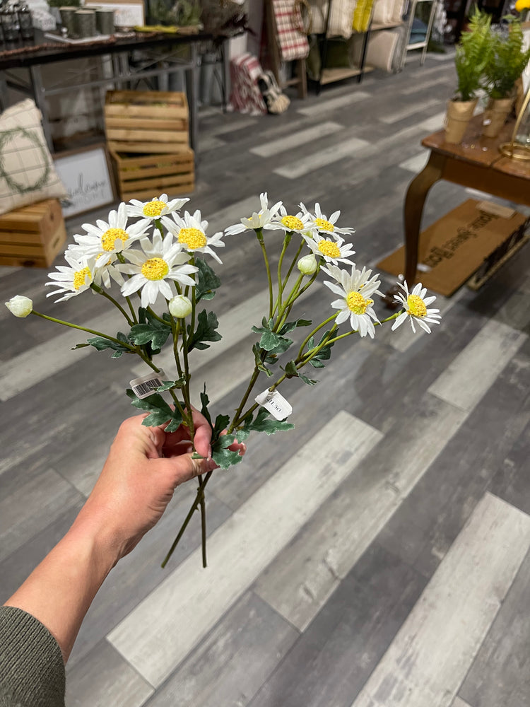 Miniature Daisy Spray