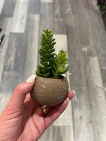 Small Potted Faux Succulent