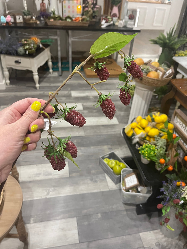 Raspberry Vine 24.5”