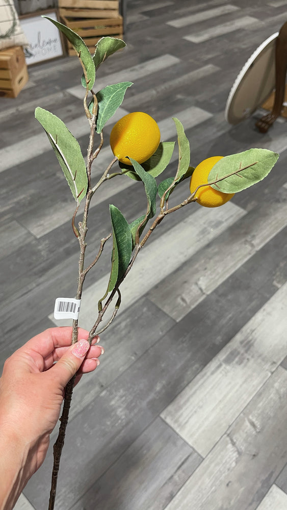 Citrus Branch Pick