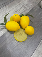 Lemon Slices Set