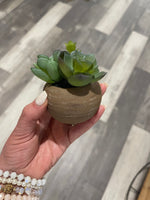 Small Potted Faux Succulent