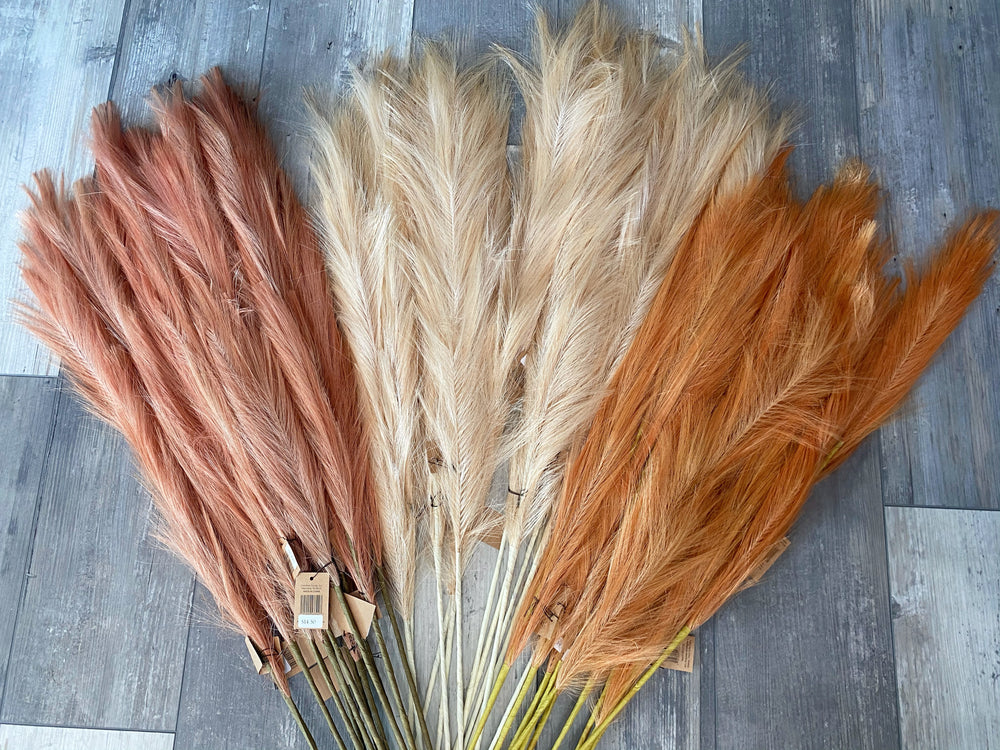 48” Pampas Grass